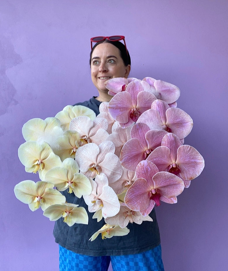 Fancy Phal